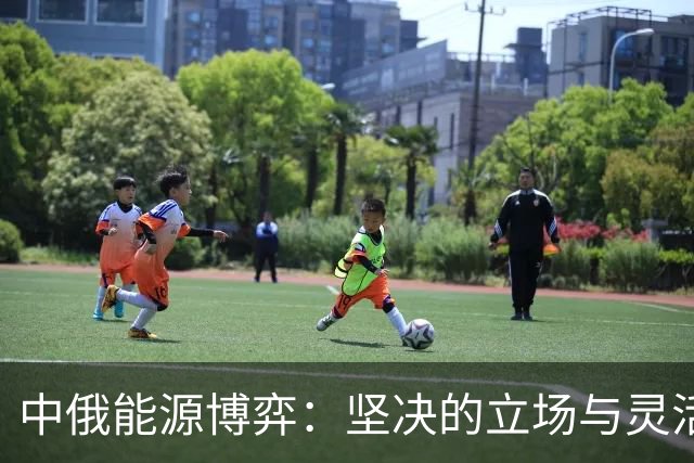 中俄能源博弈：坚决的立场与灵活的策略